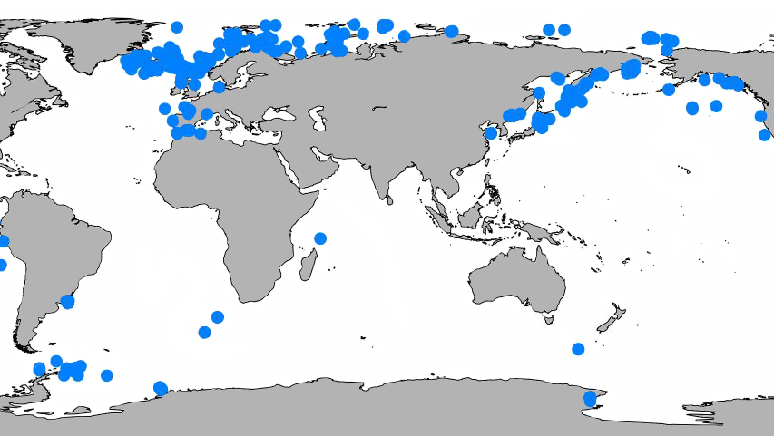 Типовые местности 46 новых для науки видов полихет, описанных сотрудниками кафедры